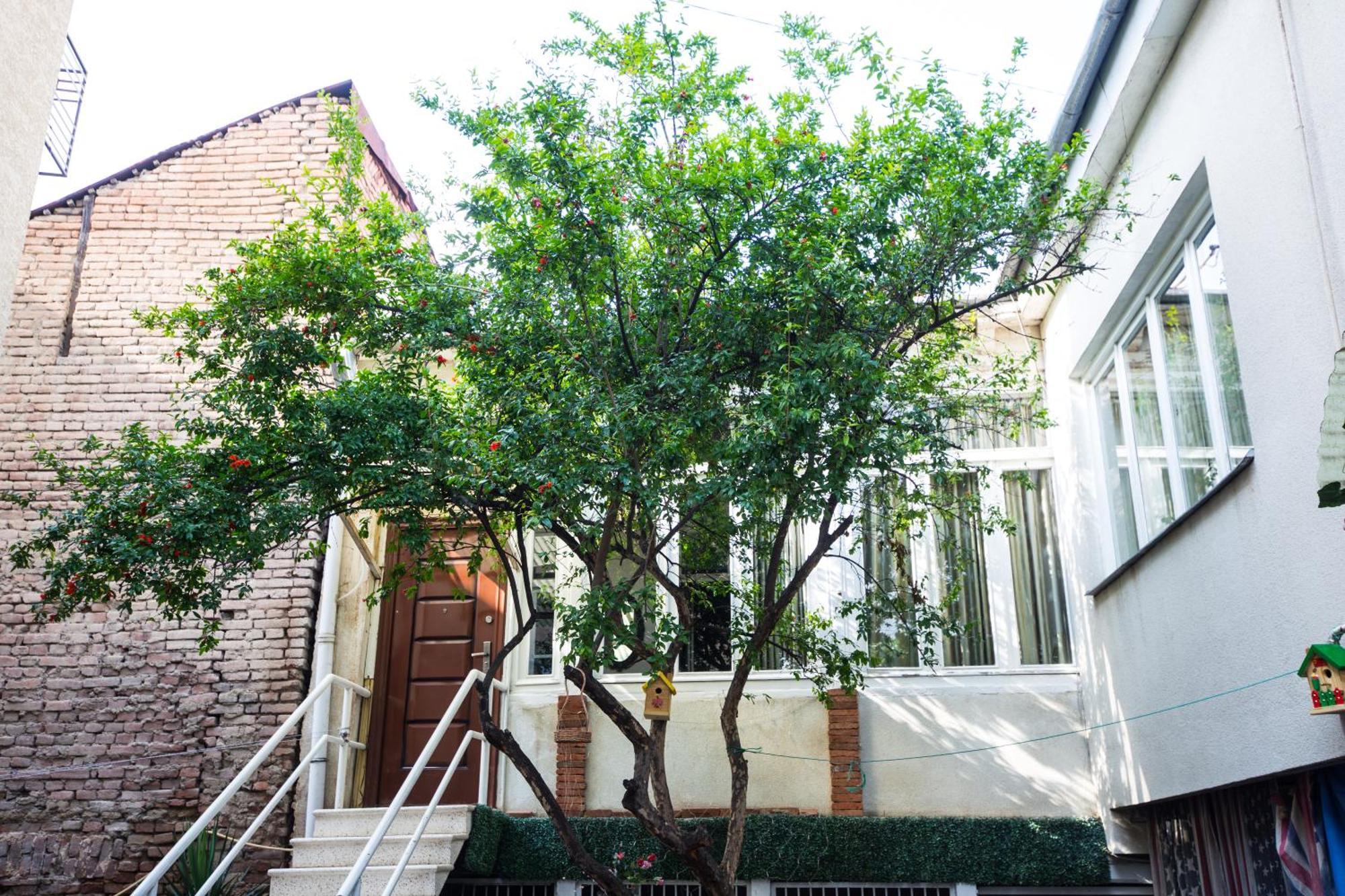 Sophie'S Garden Hotel Tbilisi Exterior foto